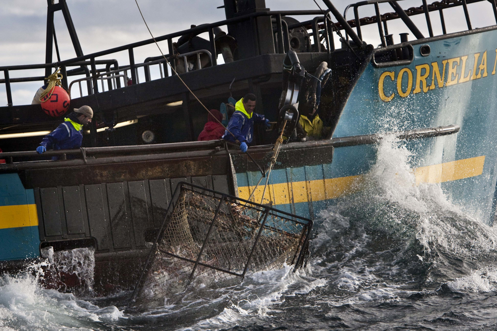 Deadliest Catch - Crab Fishing In Alaska - 2010