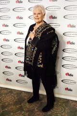 Judi Dench
The Oldie of the Year Awards, London, UK - 30 Jan 2018