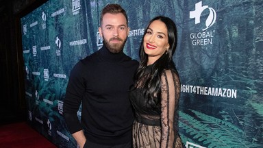 nikki bella artem chigvintsev