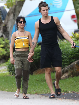 Camila Cabello, Shawn Mendes
