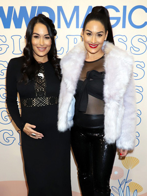 Brie Bella Nikki Bella