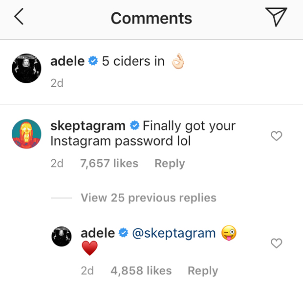 Adele, Skepta