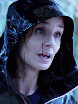 Sarah Wayne Callies