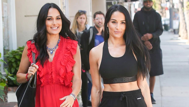 Brie Nikki Bella