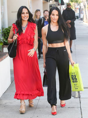 Brie Nikki Bella