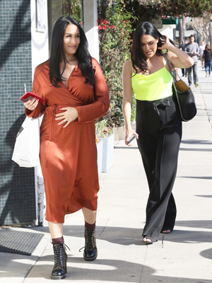 Nikki & Brie Bella