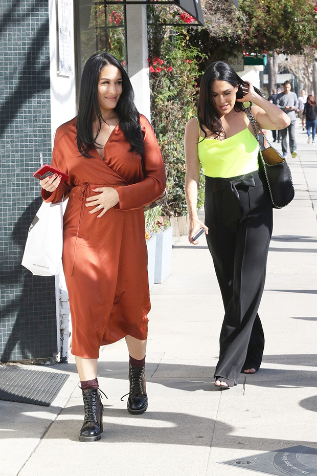 Nikki & Brie Bella 