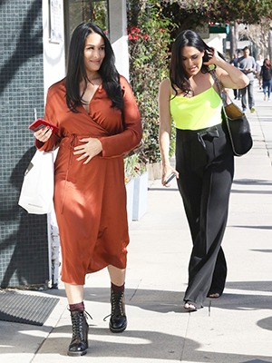 Nikki & Brie Bella