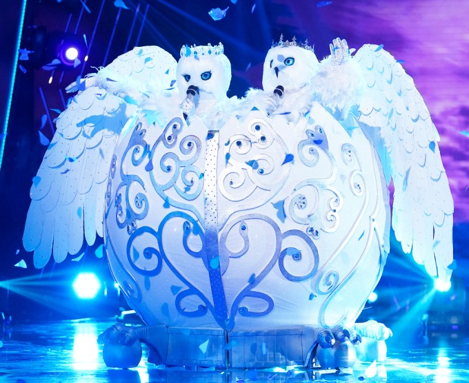 The Masked Singer Snow Owls Recap FOX