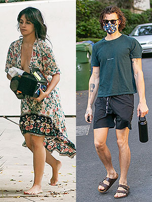 Camila Cabello, Shawn Mendes