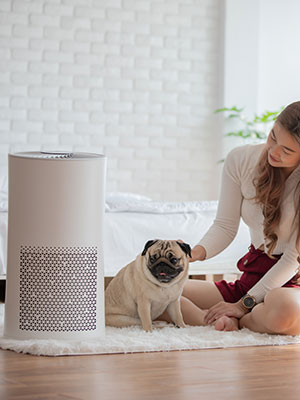 dehumidifier