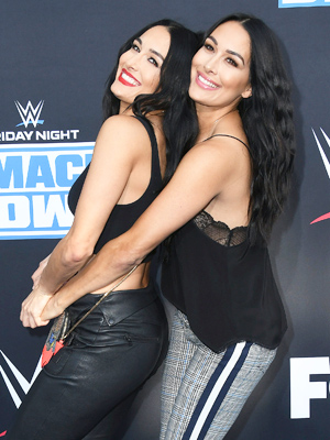 Nikki Brie Bella