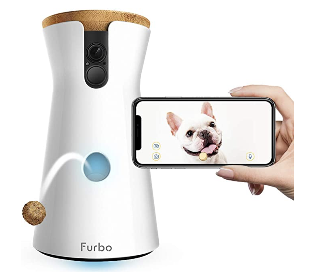 dog camera 