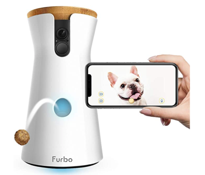 dog camera 