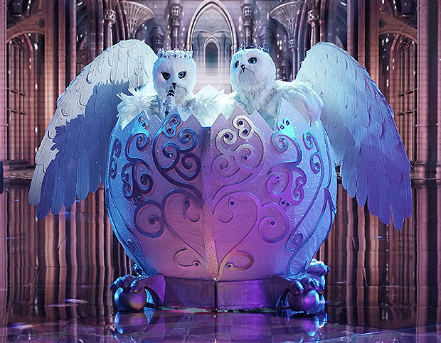 Snow Owls