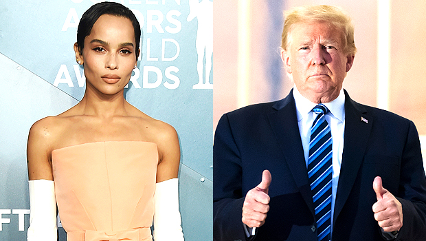 Zoe Kravitz Donald Trump