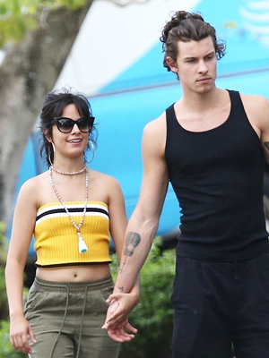 Camila Cabello, Shawn Mendes