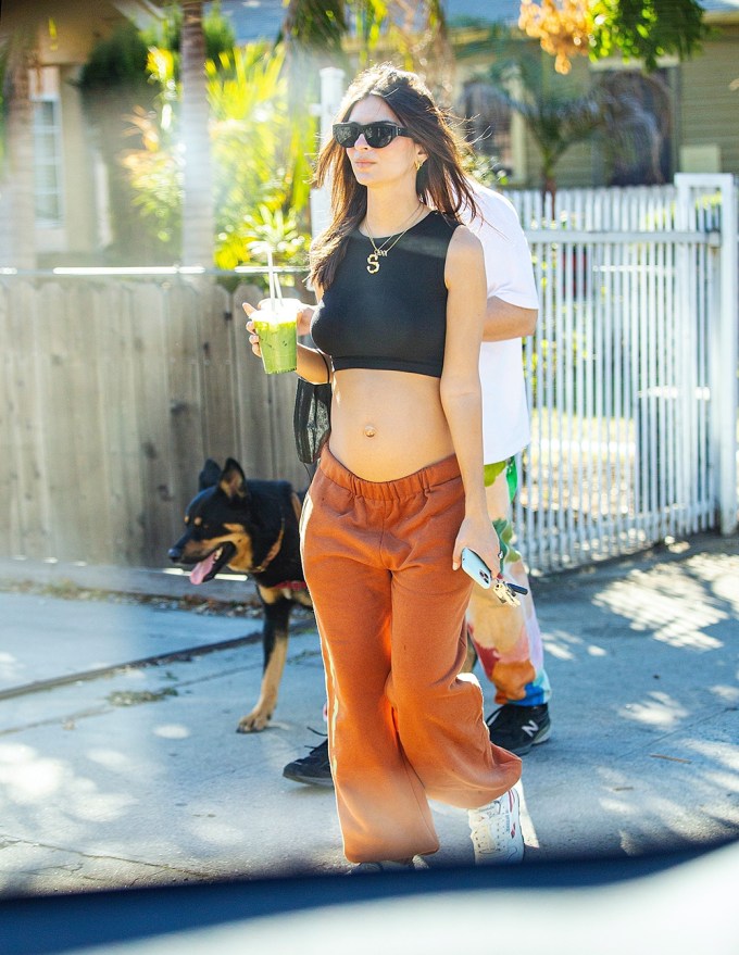 Emily Ratajkowski In A Crop Top & Sweats