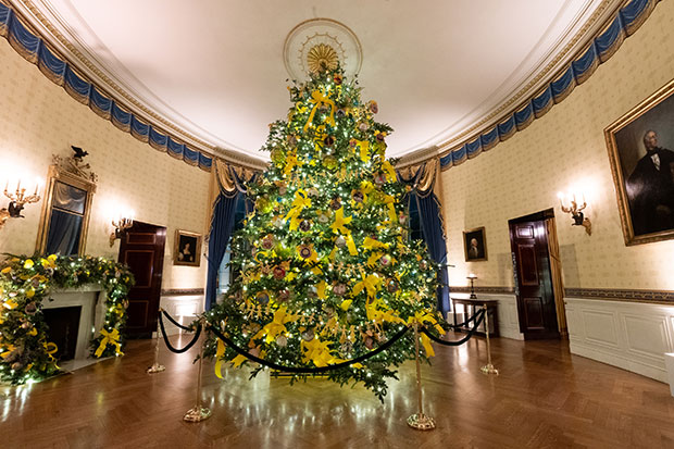 White House Christmas Decorations