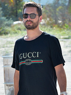 Scott Disick Amelia Hamlin relationship