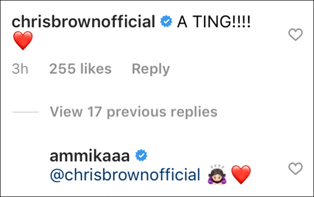 Chris Brown, Ammika Harris