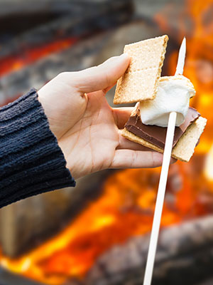 s'mores maker