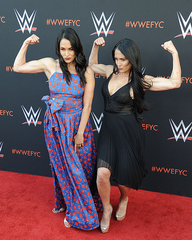 Brie Bella, Nikki Bella