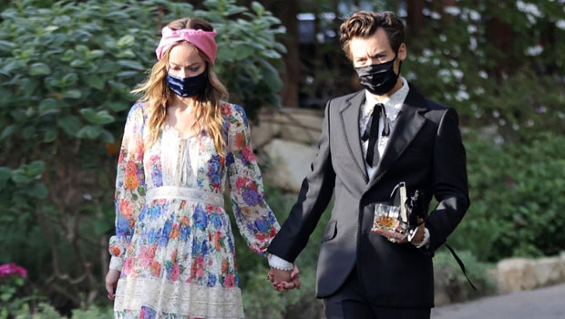 Olivia Wilde, Harry Styles