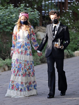 Olivia Wilde, Harry Styles