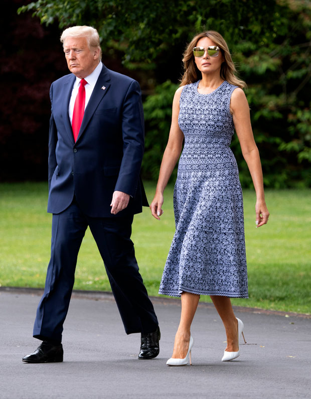 melania donald