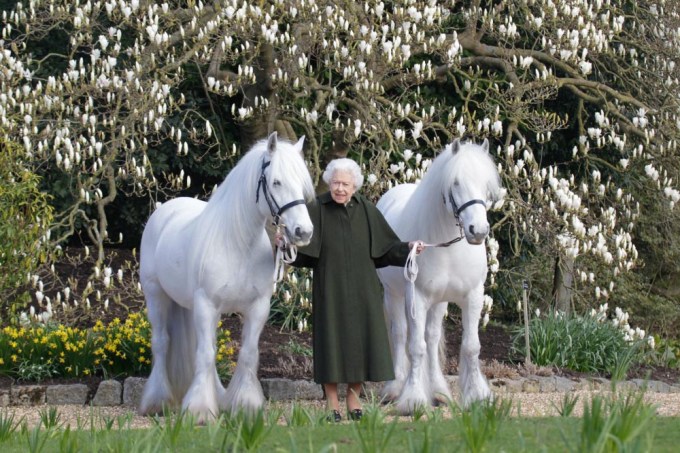 Queen Elizabeth Celebrates 96th Birthday With Her 2 Majestic Ponies