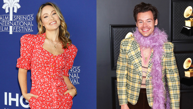 Olivia Wilde, Harry Styles