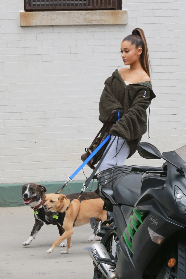 Ariana Grande Dogs