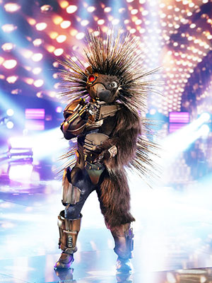The Masked Singer