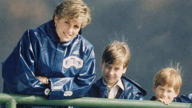 Princess Diana, Prince William, Prince Harry