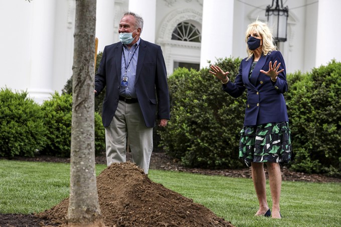 Jill Plants A Tree