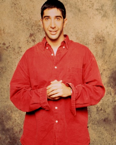 FRIENDS, David Schwimmer, 1994-2004, © Warner Bros. / Courtesy: Everett Collection