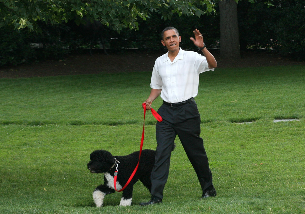 Picnic for Members of Congress on the South Lawn of the White House, Washington DC, America - 08 Jun 2010