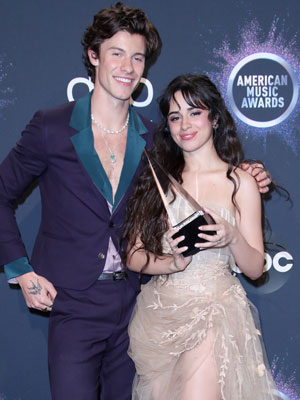 shawn mendes and camila cabello