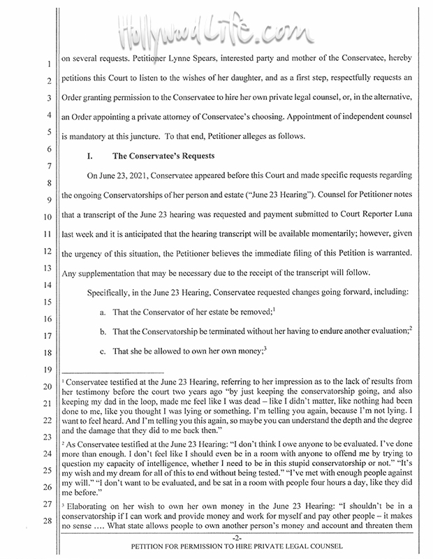 Lynne Spears court docs