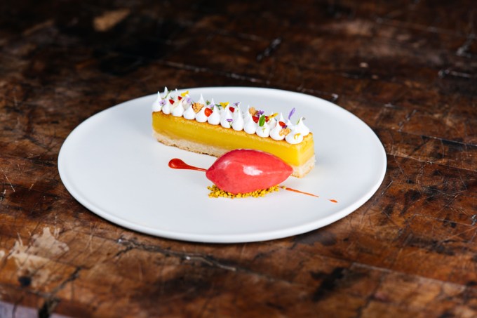 Miami hot spot Stubborn Seed