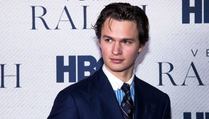 ansel