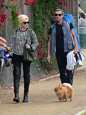 Gwen Stefani & Gavin Rossdale
