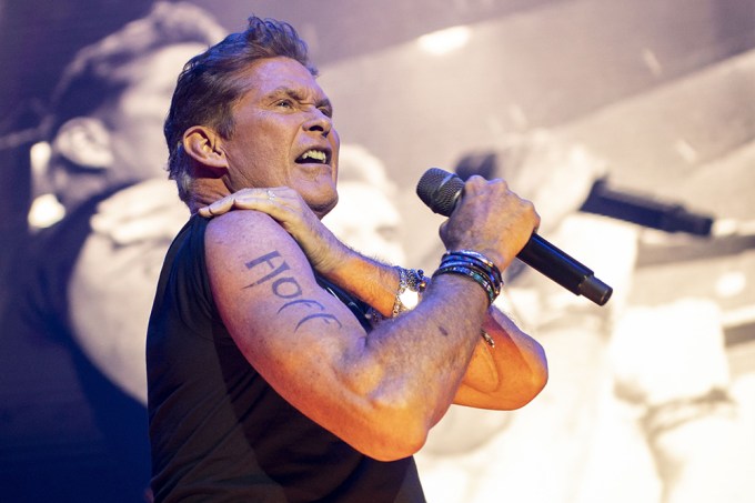 David Hasselhoff Performs In Concert