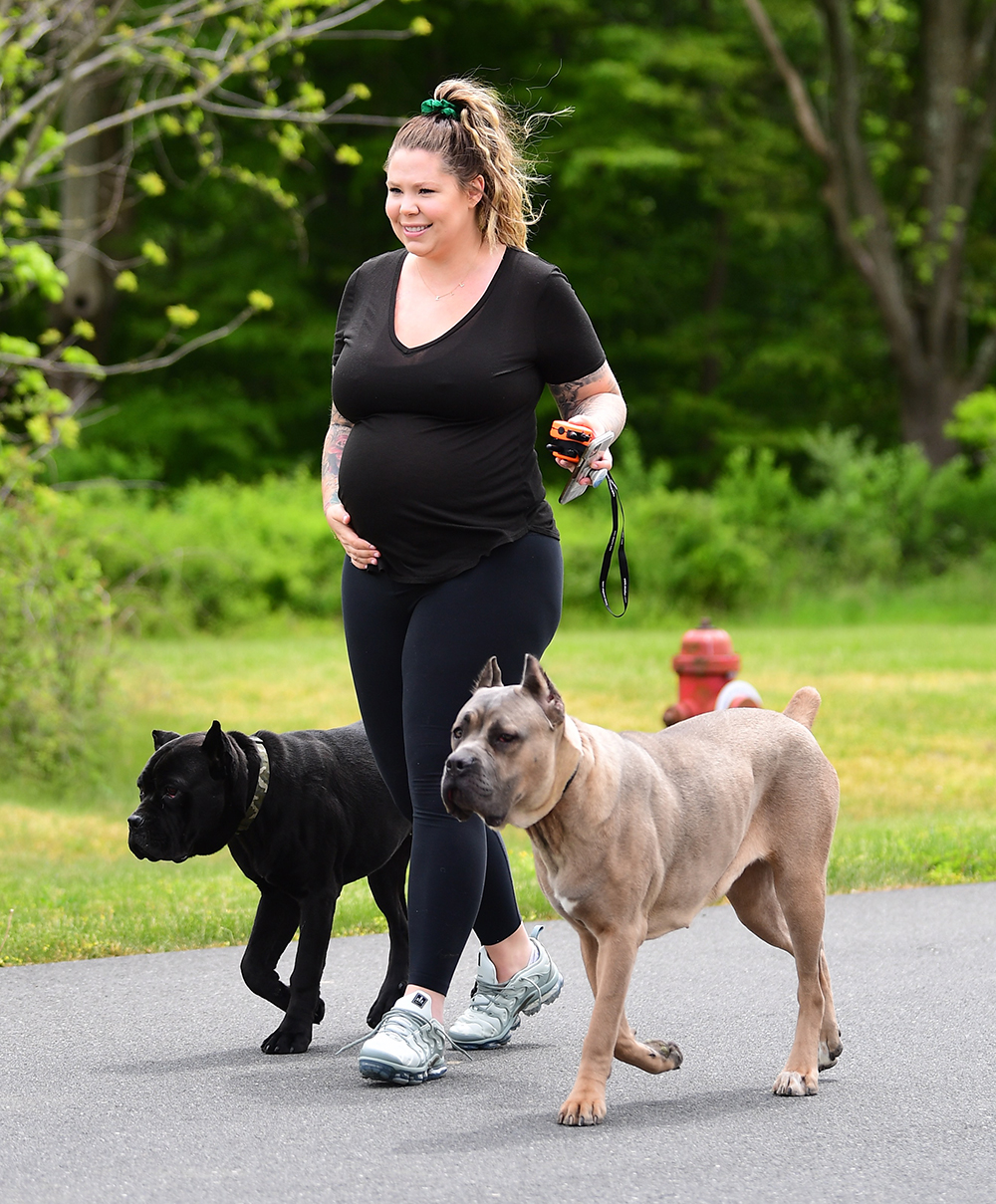 EXCLUSIVE: Teen Mom Kailyn Lowry Shows Off her Growing Baby Bump While Walking her Massive Dogs