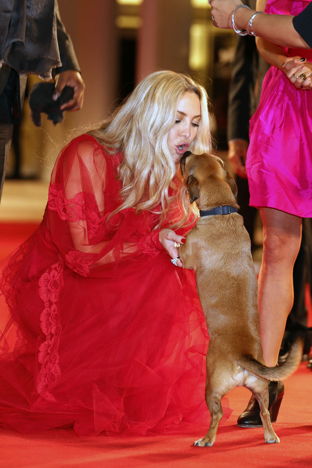 Kate Hudson, Dog