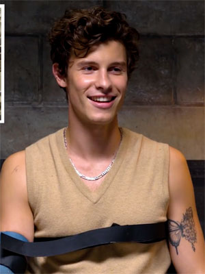 shawn mendes