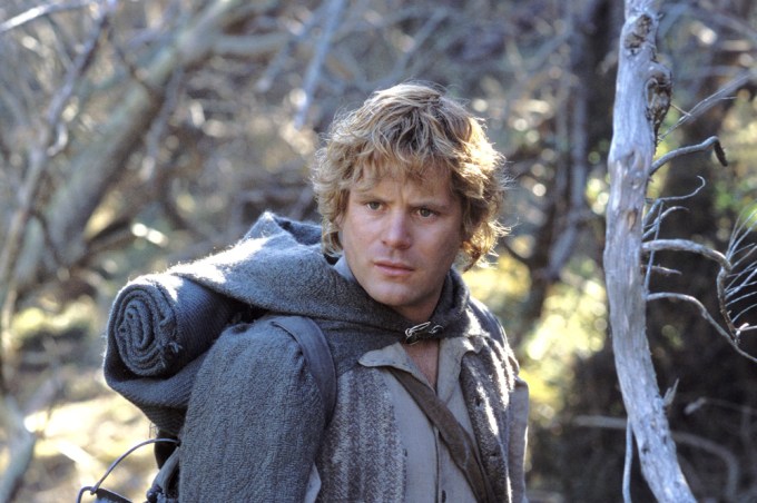 Sean Astin