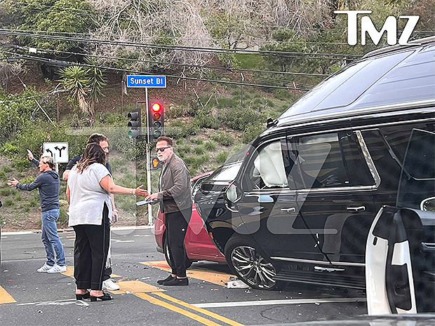 Arnold Schwarzenegger car crash