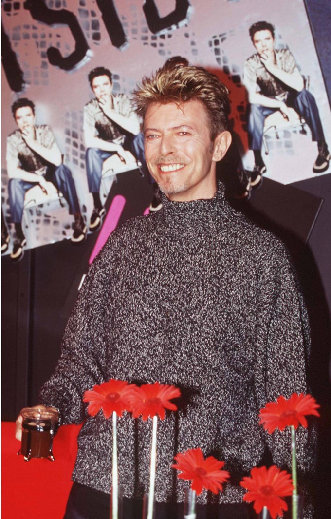 David Bowie in 1995